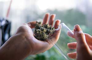 medical marijuana attorney oklahoma