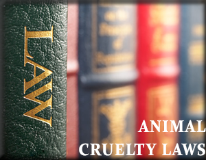 Oklahoma Animal Cruelty Laws - Wirth Law Office | (918) 879-1681 | James M.  Wirth, Esq. Tulsa Lawyer