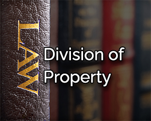 property division